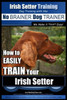 Irish Setter Training Dog Training with the No BRAINER Dog TRAINER We Make it THAT Easy!: How to EASILY TRAIN Your Irish Setter