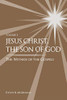 Jesus Christ, the Son of God, the Witness of the Gospels, Vol. 3 - 9781949974072