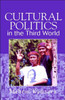 Cultural Politics in the Third World