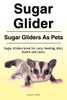 Sugar Glider. Sugar Gliders as Pets. Sugar Gliders Book for Care, Feeding, Diet, Health and Costs.