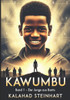 Kawumbu: Das Licht gehört niemandem!