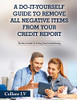 A Do-It-Yourself Guide To Remove All Negative Items From Your Credit Report: The Best Guide To Fixing Your Credit Rating - 9781803342566