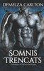 Somnis Trencats: Un Romanç de Gàrgola Protectora