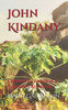 John Kindany: Chemins de traverse à Yaoundé La cithare