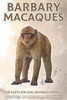 Barbary Macaques: Fun Facts on Zoo Animals for Kids #40