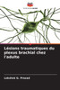 Lésions traumatiques du plexus brachial chez l'adulte