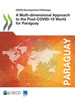 A Multi-dimensional Approach to the Post-COVID-19 World for Paraguay