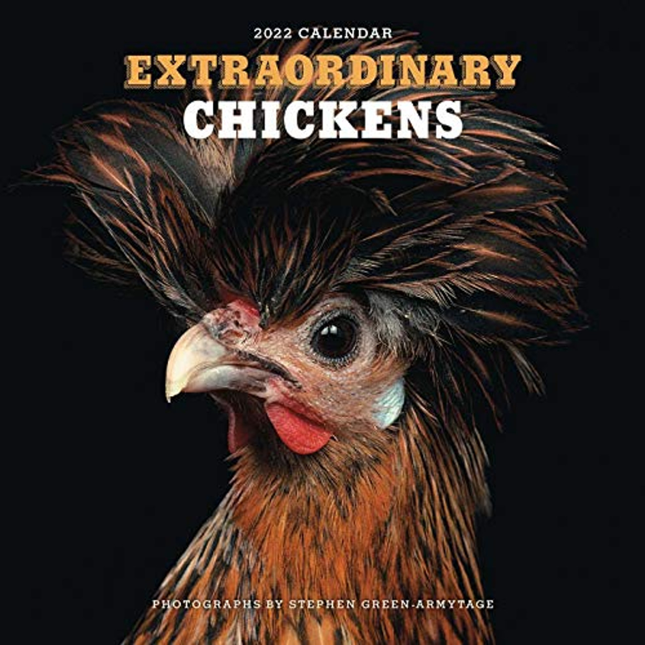 Extraordinary Chickens 2022 Wall Calendar Harry N Abrams Inc 9781419754654