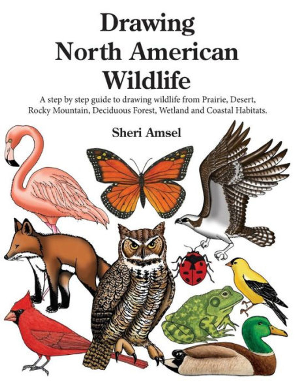 North American Wildlife Poster