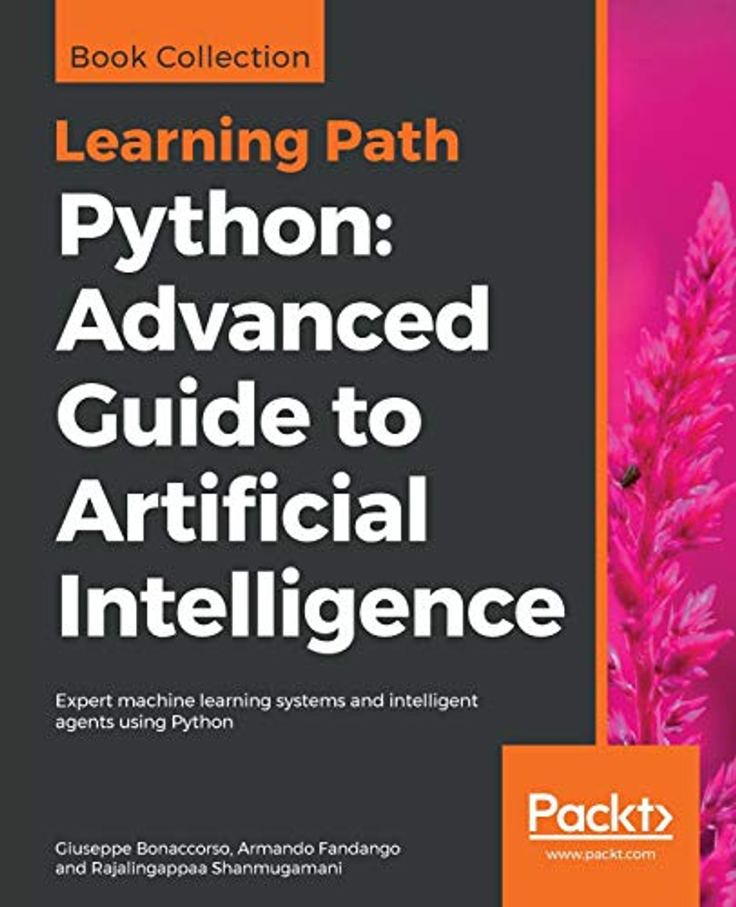 Python: Advanced Guide to Artificial Intelligence: Expert machine ...