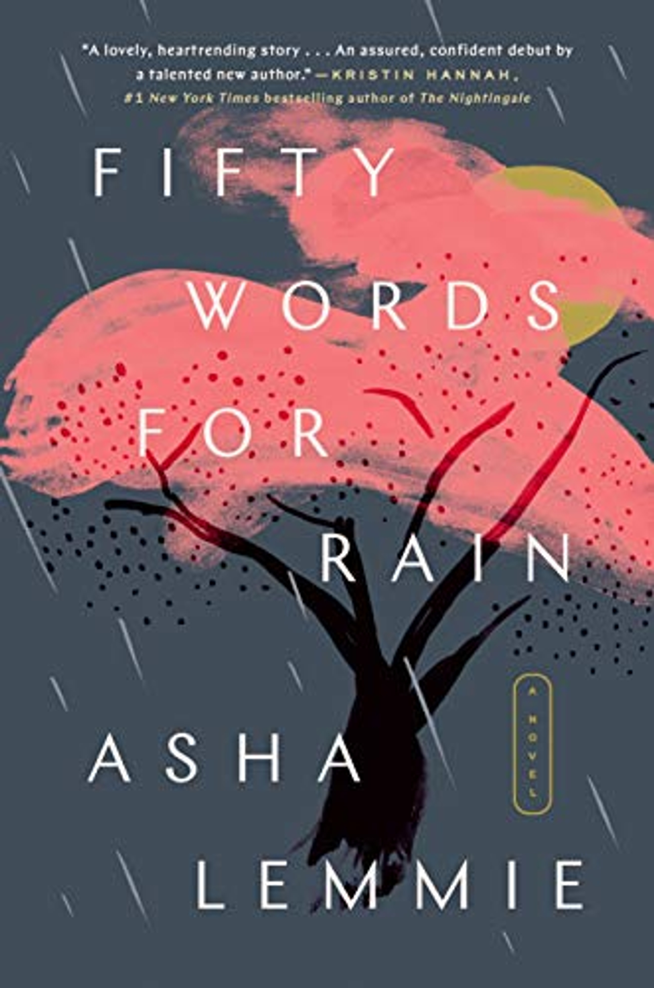 book reviews 50 words for rain