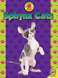 Sphynx