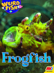 Frogfish
