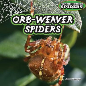 Orb-Weaver Spiders
