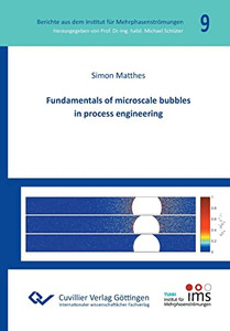 Fundamentals of Microscale Bubbles in Process Engineering