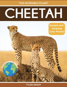 Cheetah: Fascinating Animal Facts for Kids