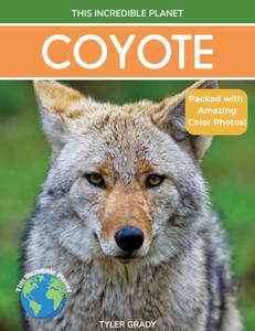 Coyote: Fascinating Animal Facts for Kids