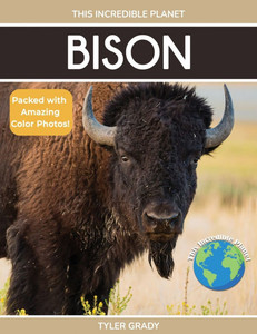 Bison: Fascinating Animal Facts for Kids