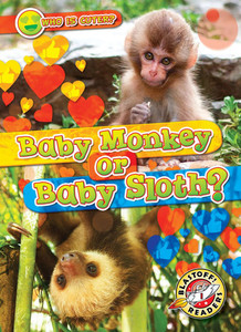Baby Monkey or Baby Sloth?