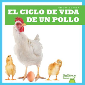 El Ciclo de Vida de Un Pollo (a Chicken's Life Cycle)