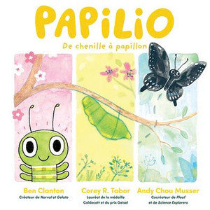 Papilio: de Chenille À Papillon