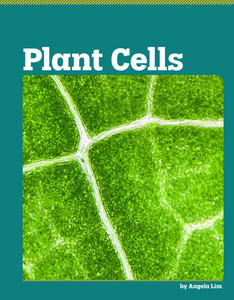 Plant Cells