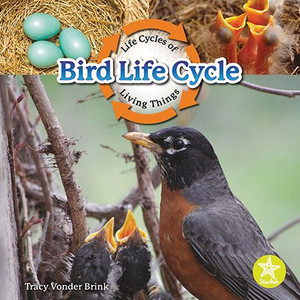 Bird Life Cycle