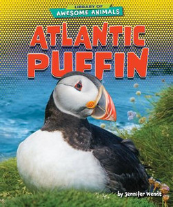 Atlantic Puffin