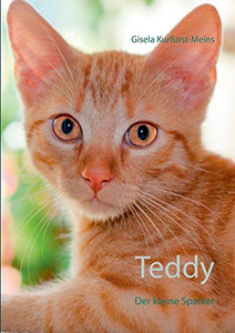 Teddy: Der kleine Spanier (German Edition)