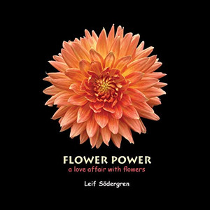Flower Power: a love affair with flowers Flower Power: a love affair with flowers