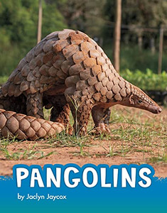 Pangolins - 9781663971753