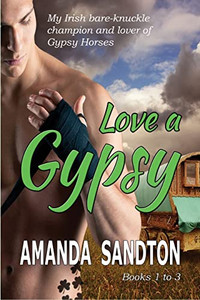 Love A Gypsy - 1 : An Irish Romance