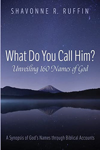 What Do You Call Him? Unveiling 160 Names Of God : A Synopsis Of God'S Names Through Biblical Accounts