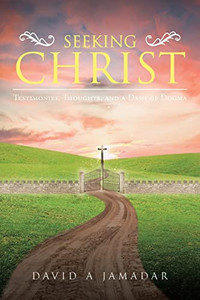 Seeking Christ : Testimonies, Thoughts, And A Dash Of Dogma