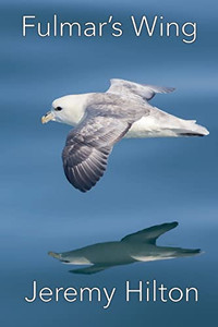 Fulmar'S Wing Fulmar'S Wing