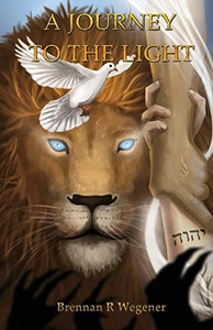 A Journey To The Light A Journey To The Light