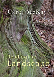 Reading The Landscape Reading The Landscape