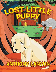 Lost Little Puppy Lost Little Puppy