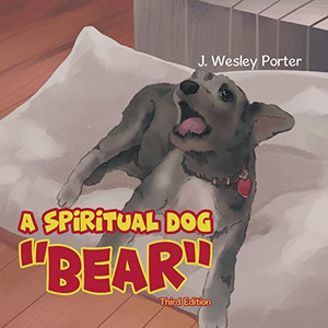 A Spiritual Dog Bear A Spiritual Dog Bear