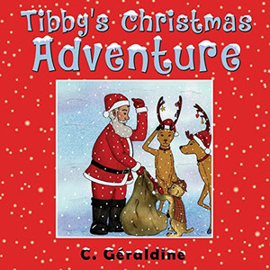 Tibby'S Christmas Adventure - 9781737999713