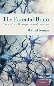 The Parental Brain: Mechanisms, Development, And Evolution
