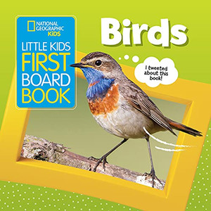 Little Kids First Board Book: Birds (First Board Books)