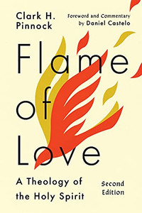 Flame Of Love: A Theology Of The Holy Spirit