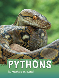 Pythons (Animals) - 9781977126535