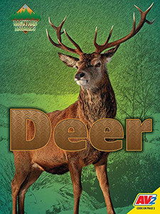 Deer (Backyard Animals)