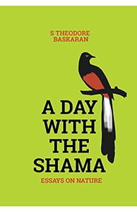A Day With The Shama A Day With The Shama