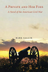 A Private And Her Foes, A Novel Of The American Civil War