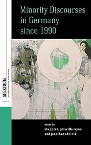Minority Discourses in Germany since 1990 (Spektrum: Publications of the German Studies Association, 23)