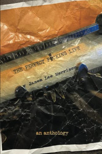 The Perfect Fucking Life