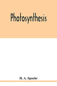 Photosynthesis Photosynthesis